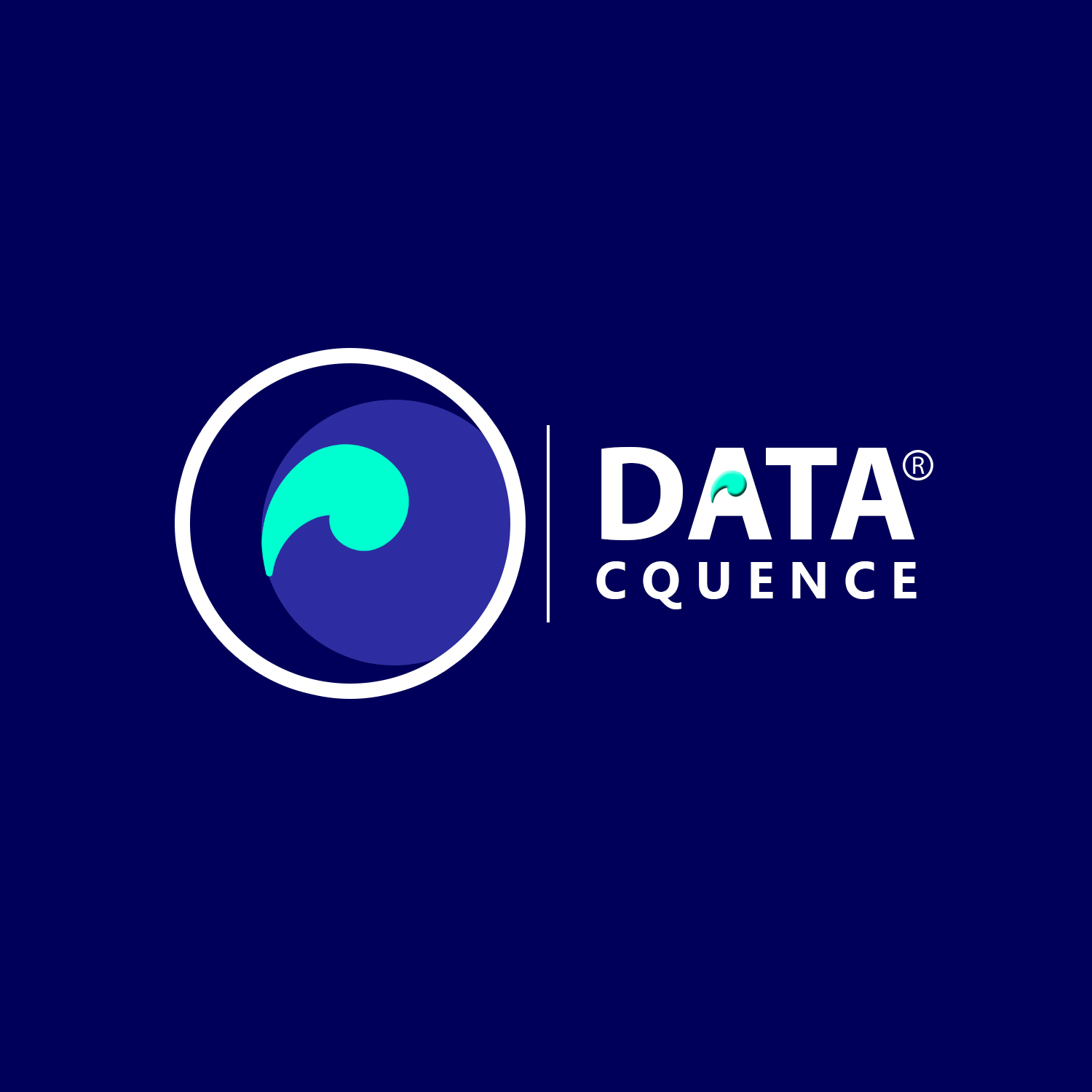 NEW DATACQUENCE WHITE copy